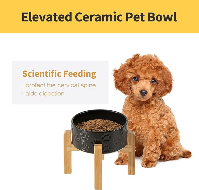 Elevated Ceramic Dog Bowls 2 Pack, 6.1" Individual Dog Bowl with 2 Fixed Height Stand, 3.5 Cup Food and Water Bowls for Small Dogs, Microwave Safe (Double Bowls + Double Stands - Black, 6 inch)