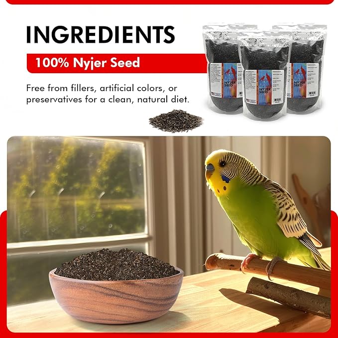 Morning Bird Nyjer Seed for Birds 4.5 lbs (3-Pack, 1.5 lbs Each)– Energizing Nutrition with Rich in Vitamins and Supplements – Ideal Bird Food for Breeding & Molting – Finch Seed for All Birds