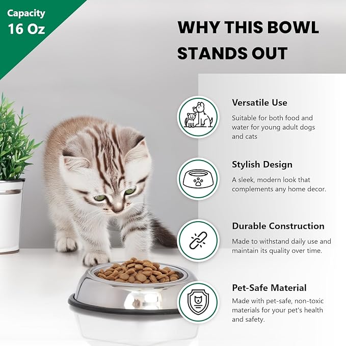 ICONIC PET 2 Cup/16 Oz Heavy Weight Non-Skid Stainless Steel High Back Pet Food/Water Bowls with Removable Anti Skid Rubber Ring - Dog/Cat Feeding Bowl in Unique Design, Dishwasher Safe