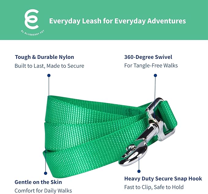 Blueberry Pet Essentials Emerald Dog Leash for Medium - 5' * 3/4" Dogs | Heavy Duty Nylon Lead | Lightweight Puppy & Cat Leash for Walking & Training