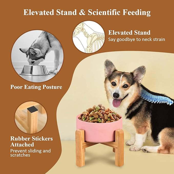 LIONWEI LIONWELI Ceramic Raised Dog Bowls, Medium - Set of 2 - Non Slip Wood Stand - Anti Vomiting - 850 ml - White