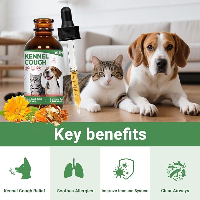Kennel Cough Treatment Drop for Dogs &Cats,Help Wet and Dry Cough Relief,Seasonal Throat Discomfort, Natural Herbal Cough Liquid with Licorice,Ginger for All Breeds & Sizes,2 fl oz Bacon Flavor