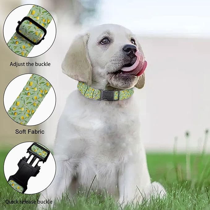 Yellow Lemon Fruit Green Leaf Dog Collars Soft Adjustable Collar Strap for Small Medium Large Dogs Cats Pet