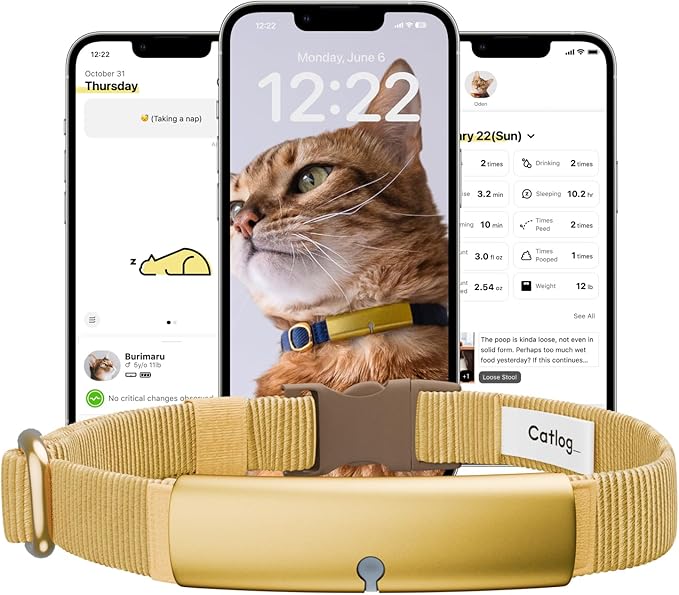 Health Tracker for Cats - Smart Cat Collar with Safety Breakaway Buckle for Indoor Cats, Wellness Alerts, Real-time Monitoring (Yellow, M)