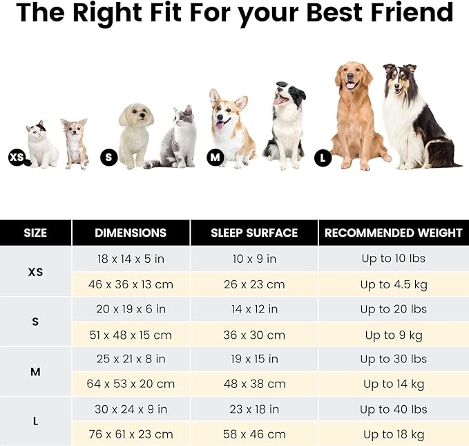 Miguel Washable Dog Bed with Removable Cushion for Medium Small Dogs, Easy to Wash Pet Sofa Bed with Side, Rectangle Bolster Cat Bed Calming Cuddle Puppy Bed with Anti-Slip Bottom, Gray 30 Inch