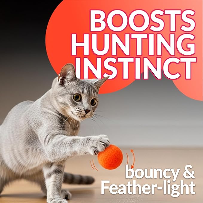 HA SHI Cat Toy Balls – 800-Pack Pom Pom Balls, Soft, Bouncy, Sparkle, Multi-Color & Mixed Sizes, No-Bell Toys for Indoor Cats & Kittens, Great for Quiet Night Play & Small Spaces