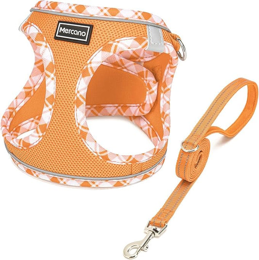 Mercano Soft Mesh Dog Harness and Leash Set, No-Chock Step-in Reflective Breathable Lightweight Easy Walk Vest Harnesses with Safety Buckle for Small Dogs, Cats (Orange, XXS)