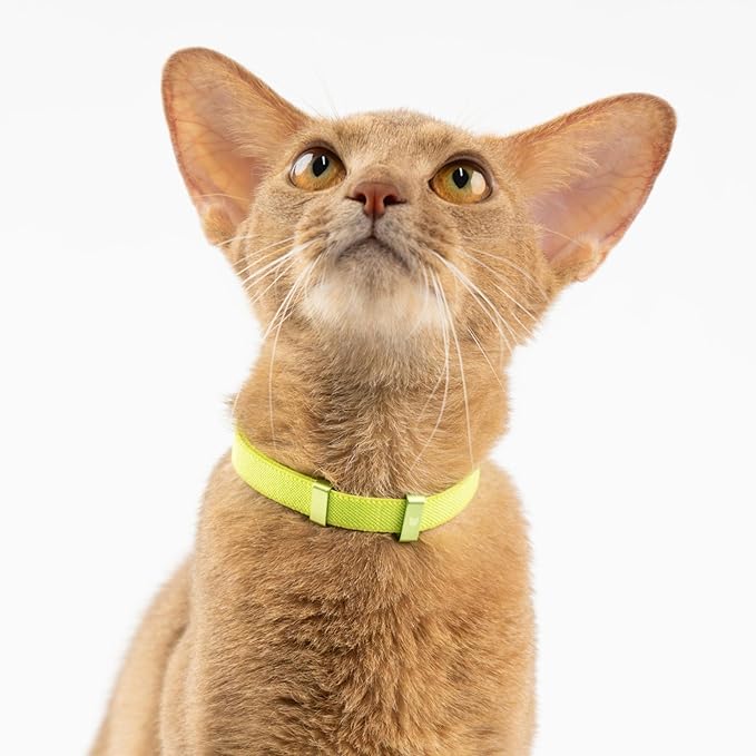 Safety Cat Collar - U.S. IDA Gold Awarding Design, Elastic Quick Release, Non Breakaway - Lightweight for Kitten, Neck Fit 5.9'-11.8' for All Small Large Cat,S(Vivid Red)