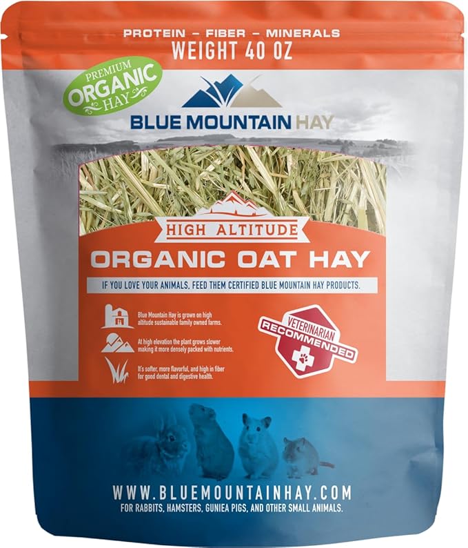 Blue Mountain Hay | Fresh Organic Oat Hay (40 Ounce) | Good for Sensitive Digestion | High-Altitude Hay Pet Food for Rabbits, Guinea Pigs, Chinchillas, Hamsters, and Other Small Pets