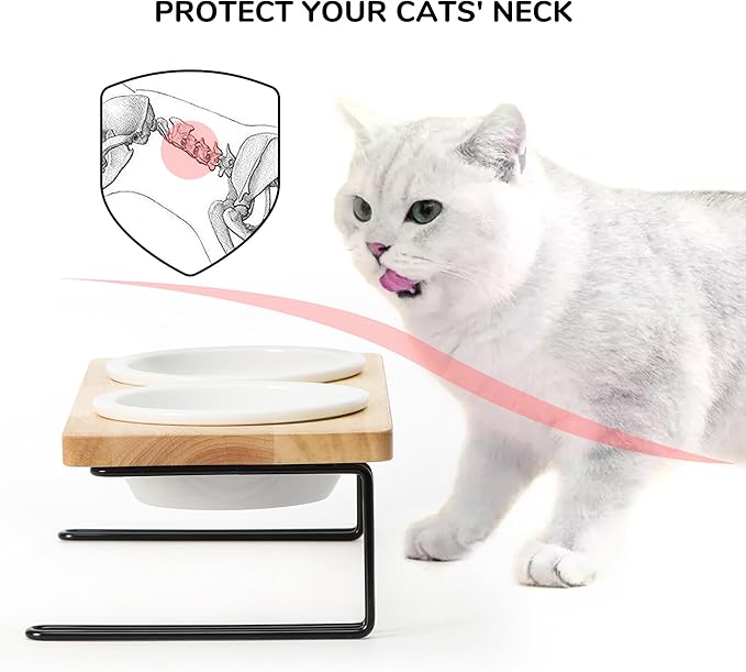 FUKUMARU Elevated Cat Ceramic Bowls, Small Dog Raised Food Feeding Dishes, Solid Wood Water Stand Feeder Set for Cats and Puppy