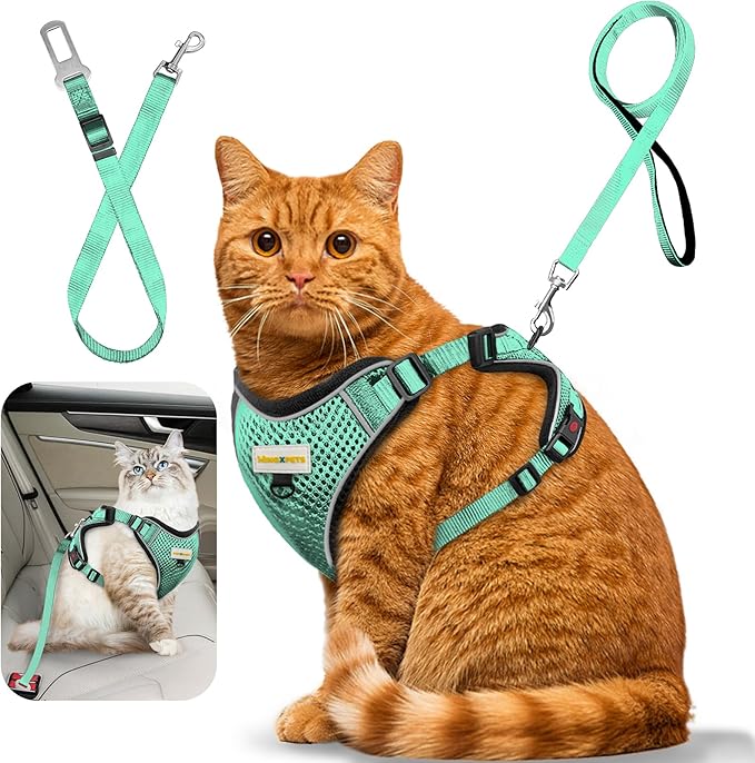 Cat Harness and Leash for Walking, Retractable Cat Harnesses and Leash Set Escape Proof, Breathable Soft Kitten Small Large Harness for Travel Training and Walking, Green, S