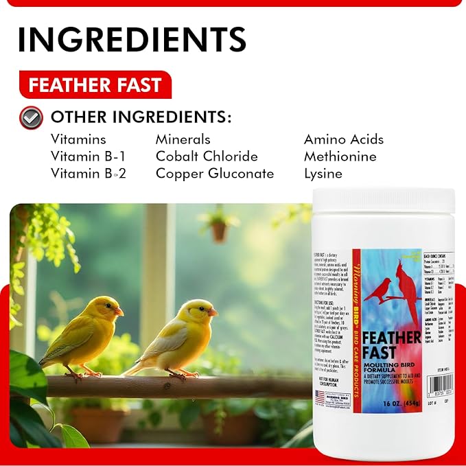 Morning Bird Feather Fast 16 Oz – Multi-Vitamin During Molt - Molting Support Supplement for Bird – Amino Acid & Vitamin Powder Formula– Promotes Feather Growth, and Full Plumage – for All Adult Birds