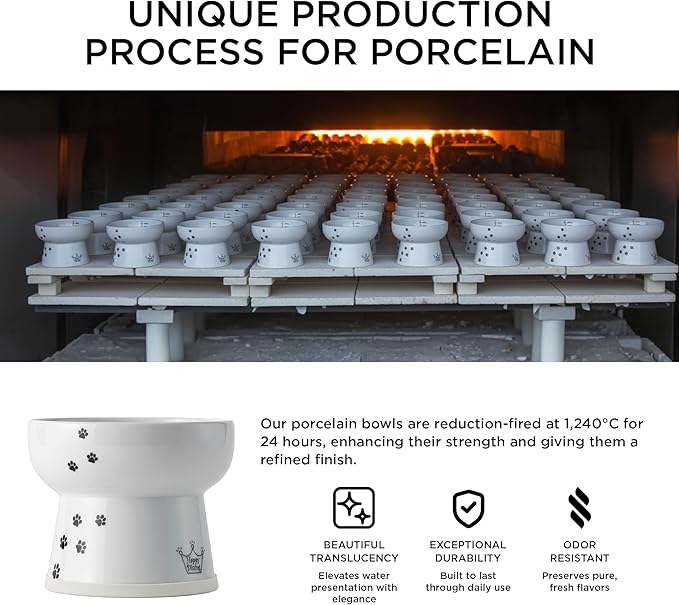 Necoichi Elevated Cat Water Bowl – Ceramic Raised Cat Bowl, Prevents Neck & Whisker Fatigue – Dishwasher & Microwave Safe – Pet Water Bowl for Cats (Cat, Extra Tall)