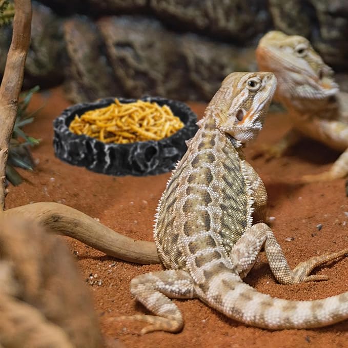 Frcctre 4 Pack Reptile Food Dish with Feeding Tongs, Resin Reptile Water Dish Food Bowl Feeding Terrarium Bowl for Leopard Gecko Lizard Tortoise Frog Bearded Dragon Chameleon