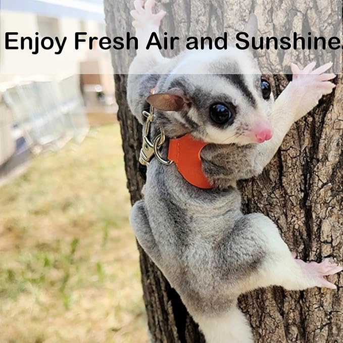 3 Pack Sugar Glider Harness and Leash Set Small Animal Training Walking Vest for Squirrel Hamster Rat Pink