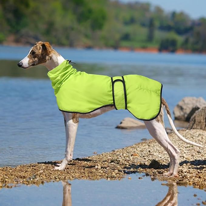 Dog Raincoat with Reflective Bar, Rain/Water Resistant, Adjustable Vest - Dog Raincoats for Greyhounds, Lurchers and Whippets - Light Green - L