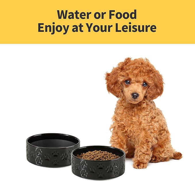 Ceramic Dog Bowl Set, 5.1" Dog Bowls with Anti-Slip Rings for Toy Breed Dogs, 1.6 Cup Food and Water Bowls for Small-Breed Puppy, Adult Cat, Microwave Safe (Double Bowls - Black, 5.1 inch)