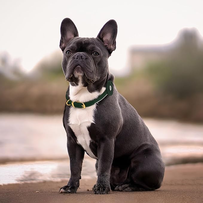 OOPSDOGGY Rolled Leather Dog Collar with Airtag Holder - Reflective Round Airtag Dog Collar - Soft Tracking Pet Collar for Small Dogs Puppy Cats Kitten (Green, XS, 8"-11")