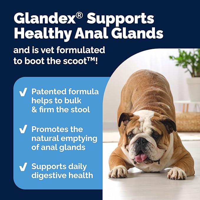 Vetnique Glandex Anal Gland Soft Chew Treats with Pumpkin for Dogs Digestive Enzymes, Probiotics Fiber Supplement for Dogs Boot The Scoot (Advanced Strength Duck/Bacon Chews (Vegetarian), 60 Ct)