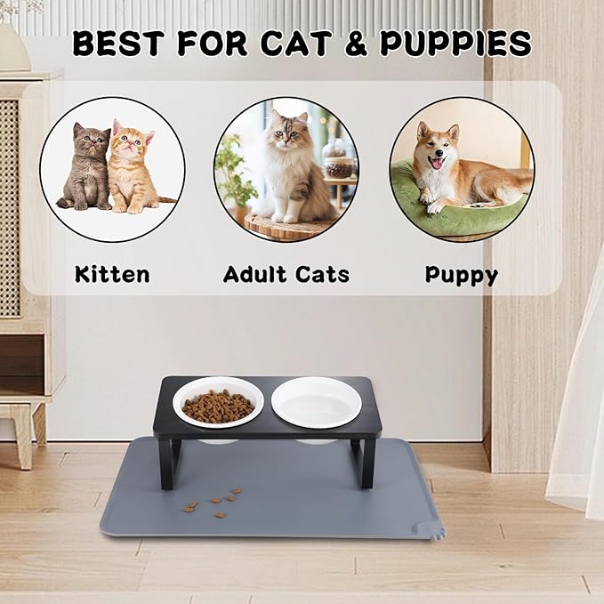 Elevated Whisker Friendly Cat Bowls, 15 Tilted Stand Anti Vomiting Raised Dishes for Food and Water,2 Ceramic Bowls for Cats and Puppy,Black