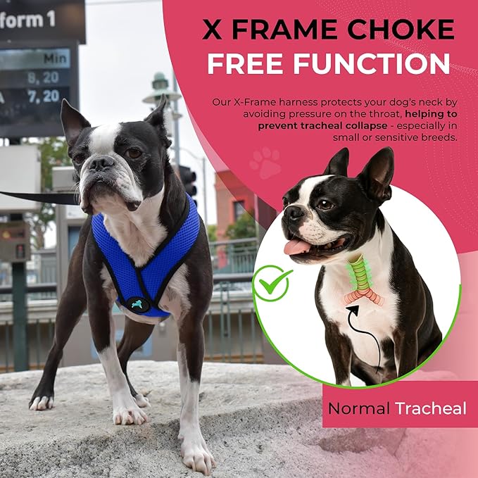 Gooby Choke Free Comfort X Soft Harness, Blue, Small