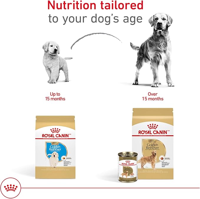 ROYAL CANIN Breed Health Nutrition Golden Retriever Adult Dry Dog Food 17 lbs.