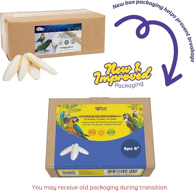 Birds LOVE Natural Cuttlebone | 100% Pure Sun-Dried Calcium Supplement for Birds, Tortoises, Snails & Crabs | Supports Beak & Shell Health | Easy to Chew | 6 Pack, Size 5.5 to 6"