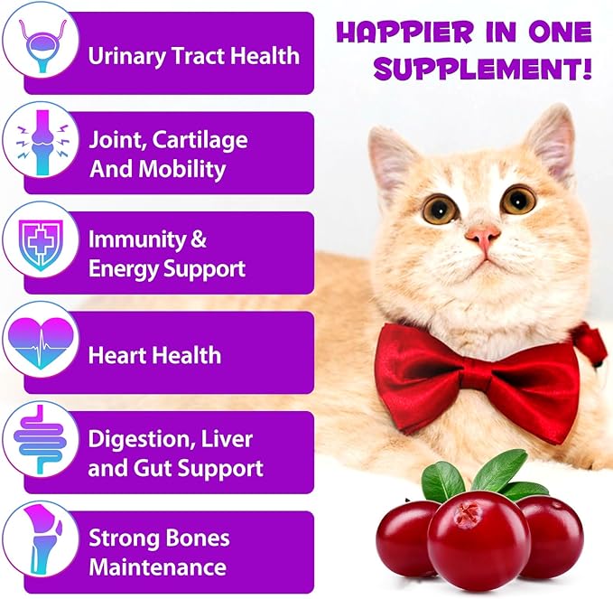 2PCS Liquid Multivitamin for Cat, 15 in 1 Cats Multivitamin Liquid Drops Supplements for Skin & Coat, Heart Health, Bones and Joint, Cat Vitamins with Glucosamine and MSM, Immune System Support