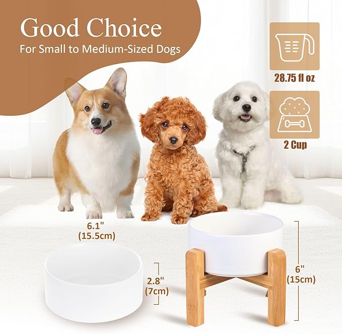 LIONWEI LIONWELI Ceramic Raised Dog Bowls, Medium - Set of 2 - Non Slip Wood Stand - Anti Vomiting - 850 ml - White