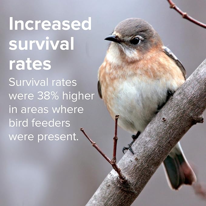 Blue Seal Song Maker Wild Bird Seed | Nutritious Blend, No Filler | Attracts a Wide Variety of Wild Outside Birds | Convenient Shell-Free Mix | Made in USA | 20 Pound Bag