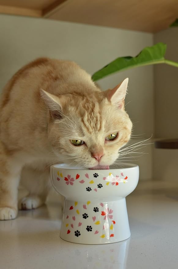 Necoichi Elevated Cat Water Bowl – Ceramic Raised Cat Bowl, Prevents Neck & Whisker Fatigue – Dishwasher & Microwave Safe – Pet Water Bowl for Cats (Sakura Floral, Extra Tall)