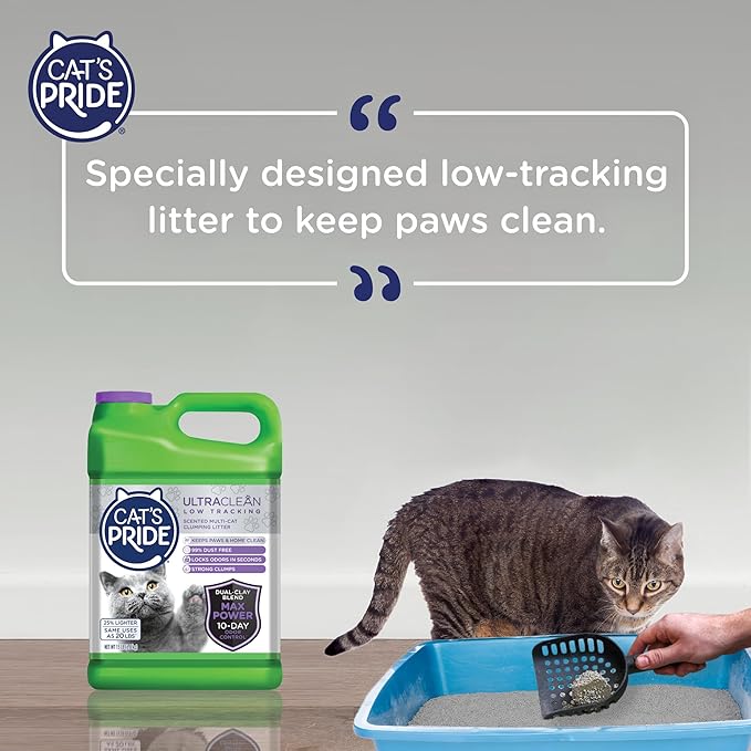 Cat's Pride Max Power: UltraClean Low Tracking Multi-Cat Clumping Litter - Keeps Paws & Home Clean - Up to 10 Days of Powerful Odor Control - 99% Dust Free - Fresh Scent, 15 Pounds