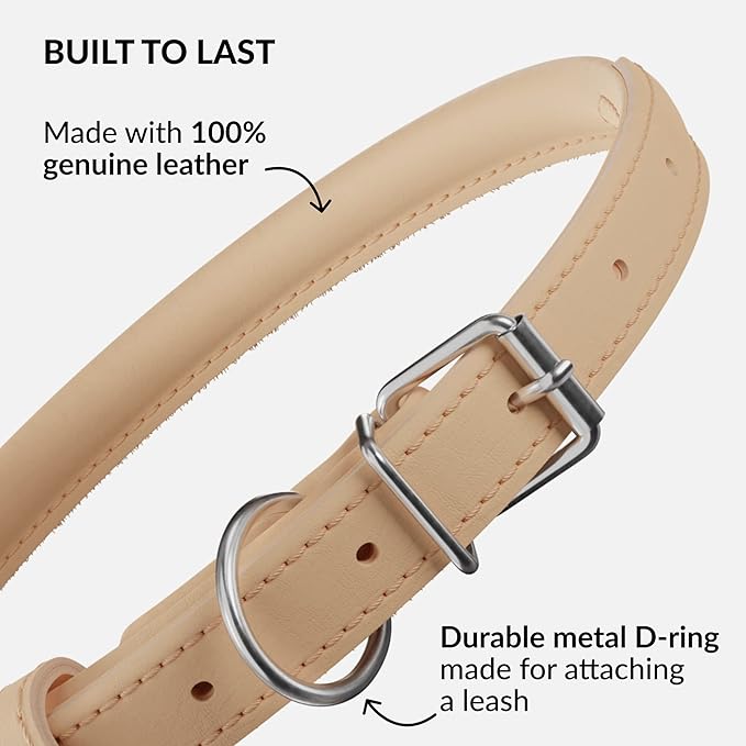 CollarDirect Rolled Leather Dog Collar, Soft Padded Round Puppy Collar, Handmade Genuine Leather Collar Dog Small Large Cat Collars 13 Colors (13-16 Inch, Beige Smooth)