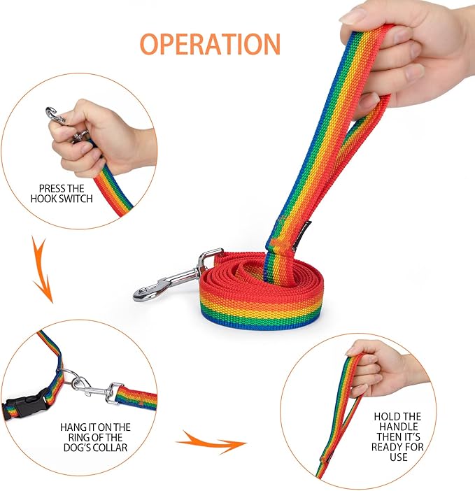 Strong Durable 6 ft Nylon Dog Training Leash, 1 Inch Wide Traction Rope, for Small and Medium Dog (Rainbow, 6 Feet)