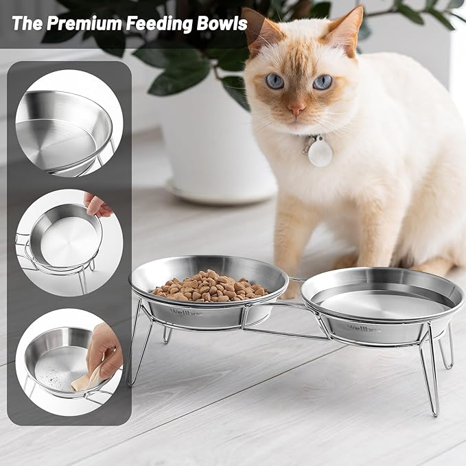 Elevated Cat Bowls, 5.9 Inch Wide Stainless Steel Cat Food Bowls with Metal Stand Whisker Stress-Free, Raised Food and Water Dish for Cats, Kitten