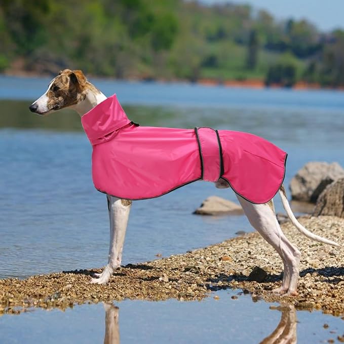 Dog Raincoat with Reflective Bar, Rain/Water Resistant, Adjustable Vest - Dog Raincoats for Greyhounds, Lurchers and Whippets - Pink - XL