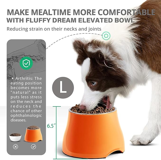 Raised Dog Bowls, Elevated Dog Bowls for Wearing Cone,Cocker Spaniel Long Ears,Neck Stress-Free,Non-Slip Stianless Steel Bowl for Large Dogs,2 Pack