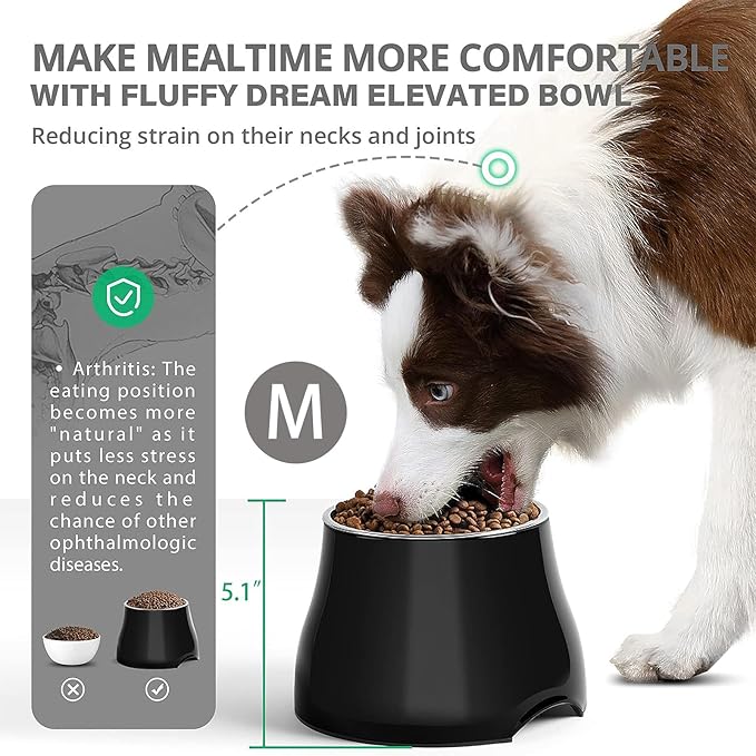 Raised Dog Bowls, Elevated Dog Bowls for Wearing Cone,Cocker Spaniel Long Ears,Neck Stress-Free,Non-Slip Stianless Steel Bowl for Medium/Small Size Dogs,2 Pack