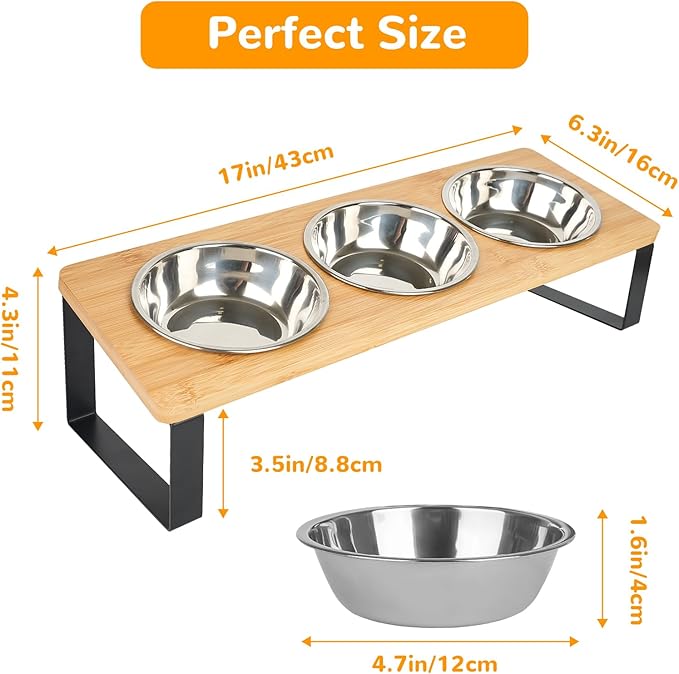 2 Set Elevated Cat Food Water Bowls, 6 Stainless Steel Bowls, 15° Tilted Raised Cat Bowl Set, for Indoor Cats for Small Cats and Puppies Pet Bowls with Stand