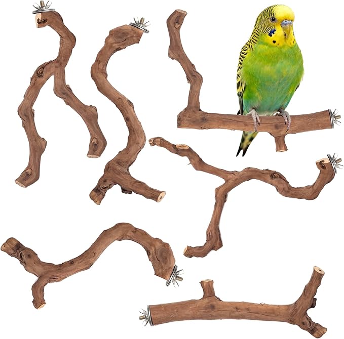6-Piece Premium Bird Perch Stand with Natural Grape Wood Branch, Paw Grinding Fork, Chewing Stick, Cage Accessories for Parakeets, Budgies, Cockatiels, Finches, Lovebirds