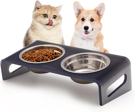 Tilted Raised Elevated Food and Water Bowls Stand for Cat or Small Dogs - Puppy's Clear Acrylic Stainless Steel Dishes Holder for Boy or Girl Pet,Modern,Durable and Easy to Clean by WBhonghui (Grey)
