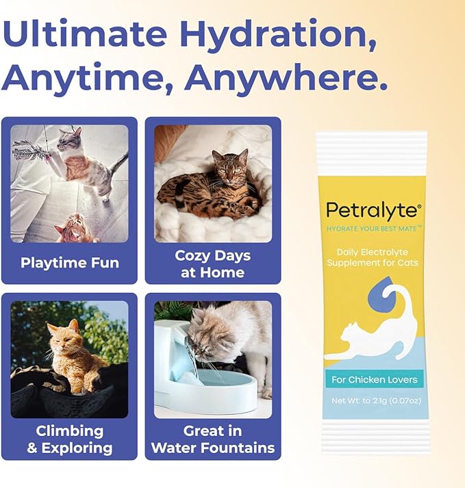Petralyte Cat Hydration Electrolyte and Cat Joint Supplement | Hydration Support for Cats w/Glucosamine, Chondroitin, L-Glutamine, Taurine, Lysine & Prebiotics | for Chicken Lovers | 32 Packets