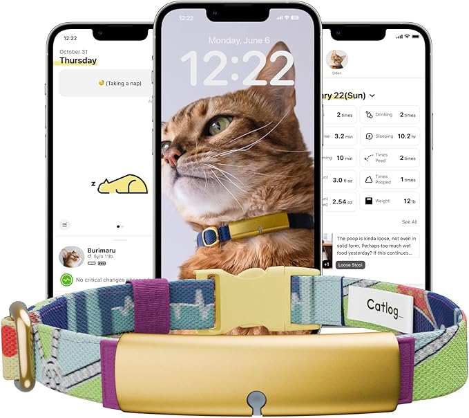Health Tracker for Cats - Smart Cat Collar with Safety Breakaway Buckle for Indoor Cats, Wellness Alerts, Real-time Monitoring (Pop (Mosaic),XL)