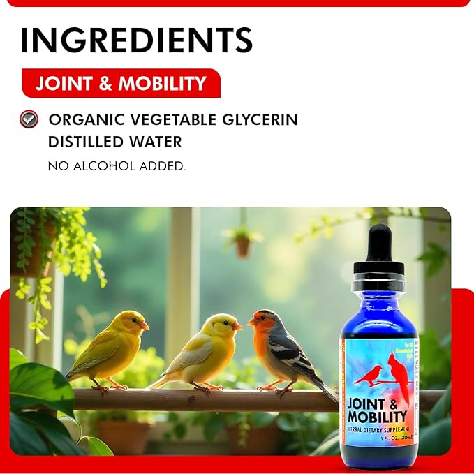 Morning Bird Joint & Mobility 1 fl oz – Muscle Pain Relief Supplement for Joint Health, Stop Pain & Arthritis Supplements – Herbal Liquid Formula for Aging, Injured, or Stressed for All Bird Types