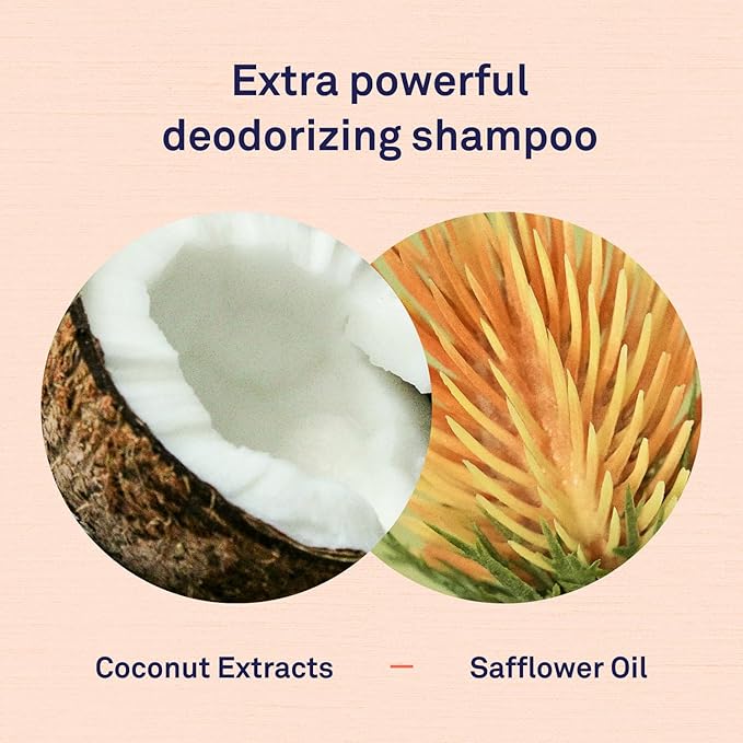 Petpost | Skunk Odor Eliminator Shampoo for Dogs & Cats. Neutralizes Strong Odors. Gentle & Safe Formula. 16 oz