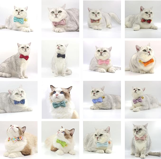 Personalized Cat Collar with Bells,Velvet Customized Small Cat Collar with Name Tag,Pet Collar with Name Phone Number Engraved ID Tags for Boy and Girl Kitten Cats (Wine Red)