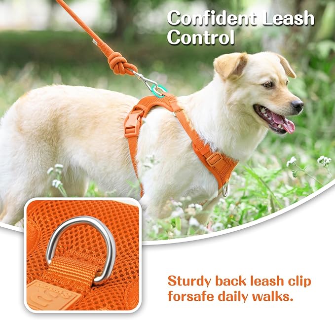 No Pull Dog Harness for Small Medium Large Dogs - Adjustable Two-Layer Mesh Dog Vest with Dual Clip, Escape Proof, Quick Release, Lightweight Breathable Mesh for Walking Hiking (Orange,XS)