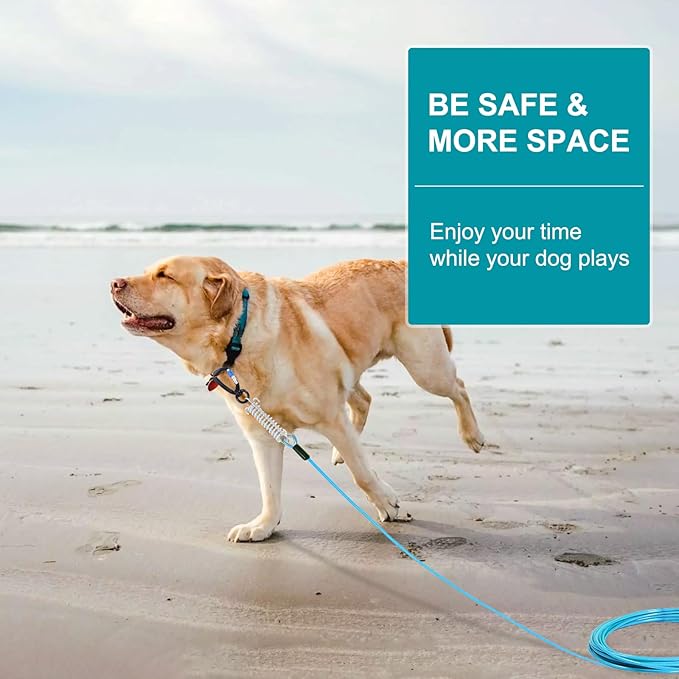 Snagle Paw Heavy Duty Long Dog Leads for Yard 120FT-1000LBS Break Strength,Dog Tie Out Cable with Swivel Lockable Hook & Spring,Chew Proof Dog Chain for Outside,Dog Run Cable for Medium Large Dogs