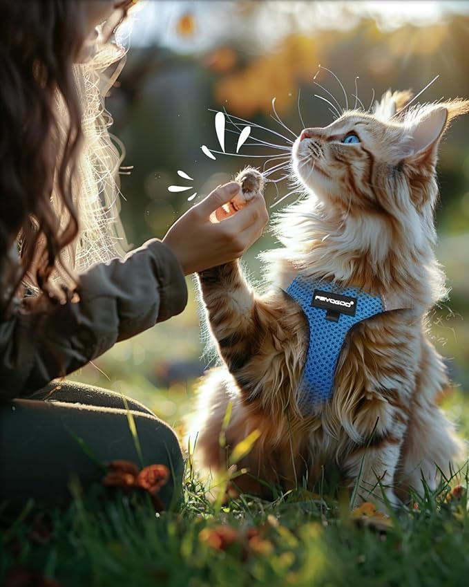 FAYOGOO Cat Harness, Cat Leash and Harness Set for Walking Escape Proof, Harness for Small Cats/Small Dogs, Large Kitten/Puppy Harness and Leash, Harness for Cats S-XXL(Tranquil Teal, X-Large)