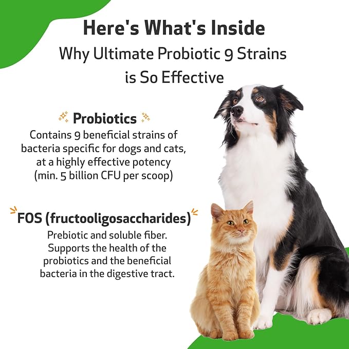 Pet Wellbeing Ultimate Probiotic 9 Strains for Dogs & Cats - Supports The Gut Microbiome and Digestion, Immune System Care, Urinary Tract Health, FOS, 2.5 Billion CFU - 11.29 oz (320 g) Powder